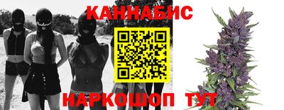 прущие грибы Комсомольск-на-Амуре