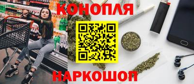 прущие грибы Комсомольск-на-Амуре