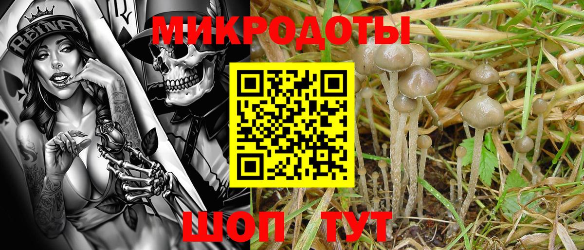 Железногорск  Галлюциногенные грибы Magic Shrooms  Галлюциногенные грибы MAGIC MUSHROOMS  Вход с VPN 